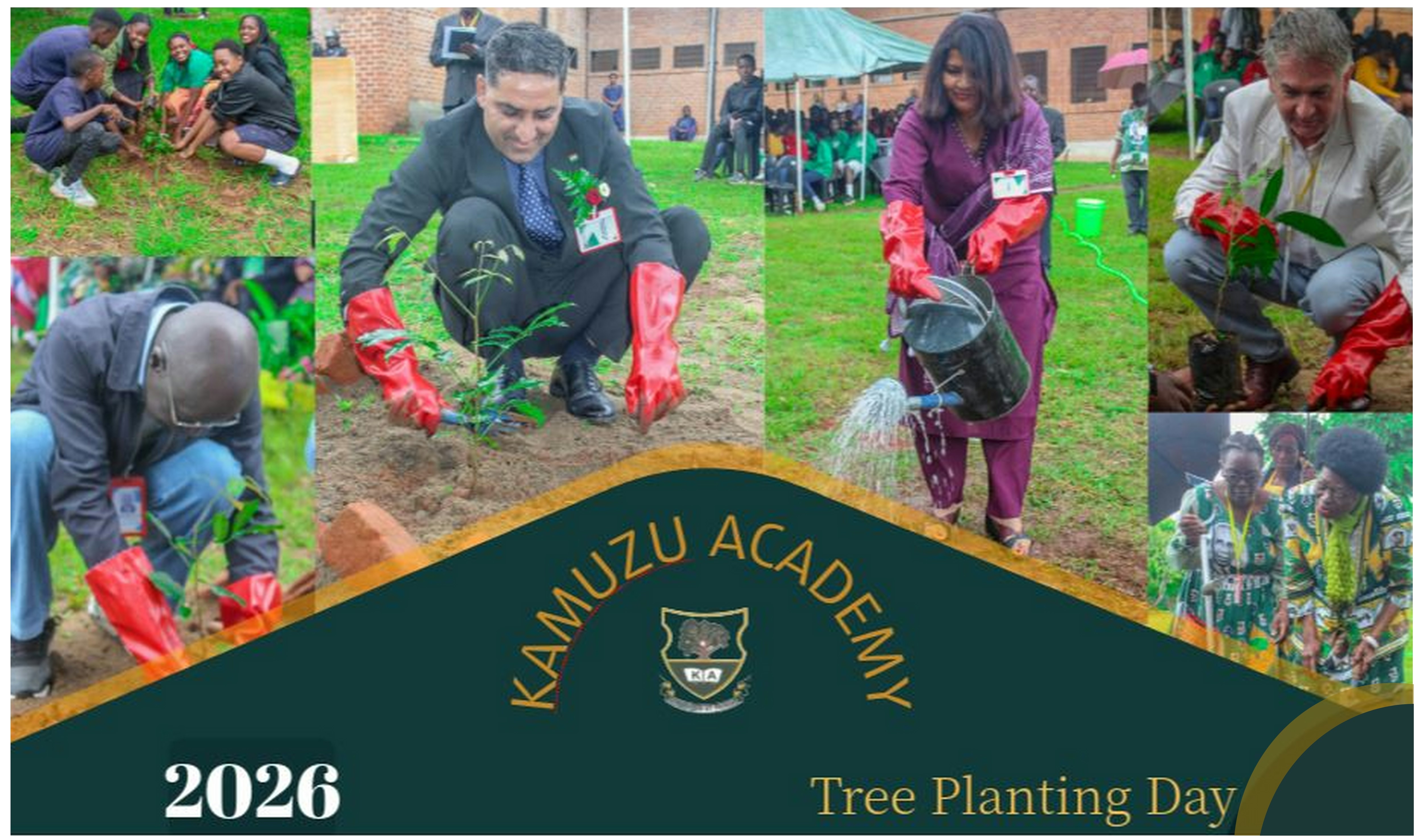 Tree Planting exercise